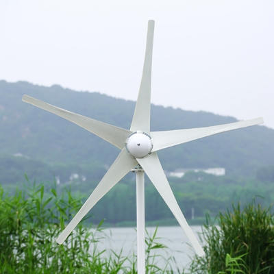 سیستم انرژی بادی خانه سیستم ژنراتور برق آسیاب بادی ترکیبی فروش مستقیم 3KW/5KW/10KW