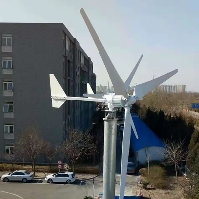 سیستم برق باد خانگی افقی موج صیفی خالص فرکانس پایین